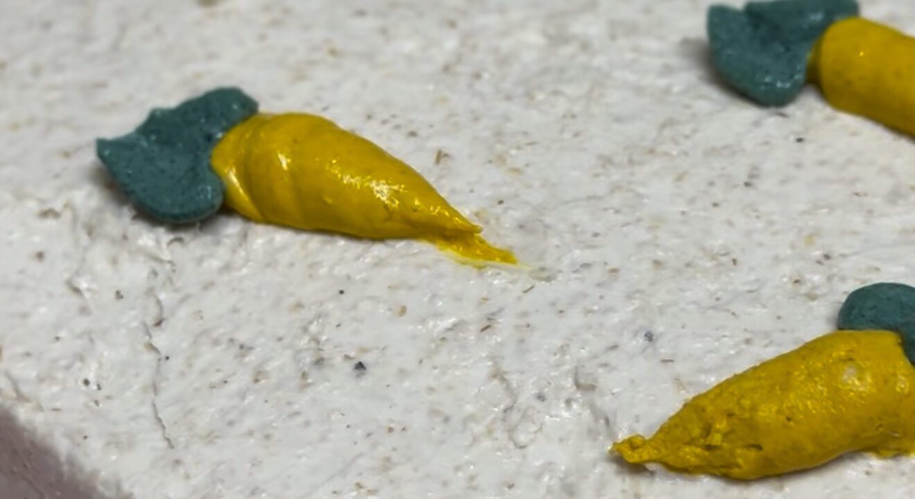 tarta de zanahoria para perros y gatos