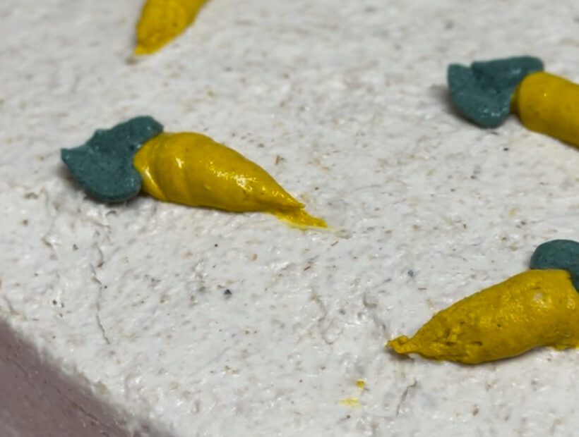 tarta de zanahoria para perros y gatos