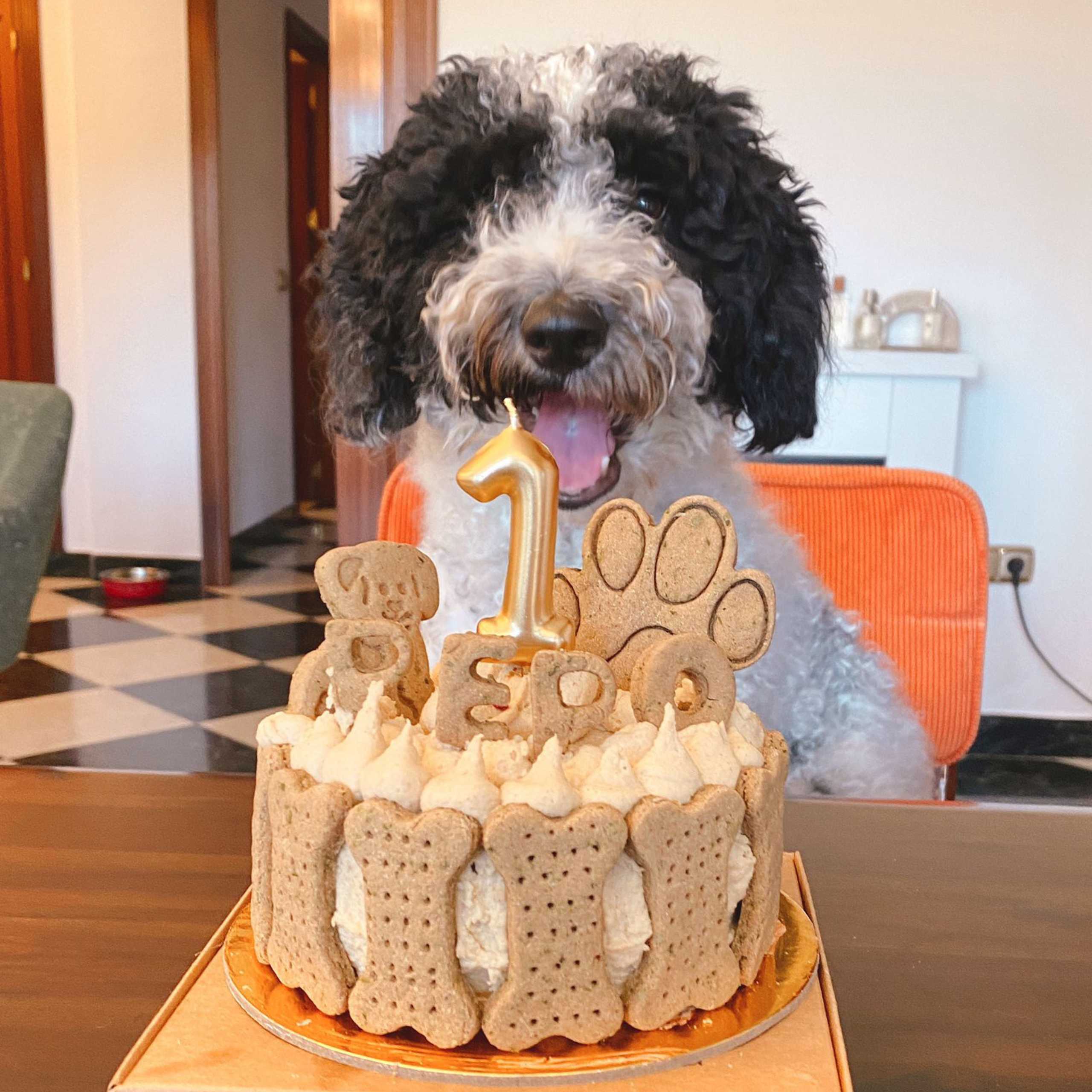Tarta Cookiesdog Obie Envío Perro feliz con tarta saludable y con ingredientes naturales y una vela clásica de 1 año