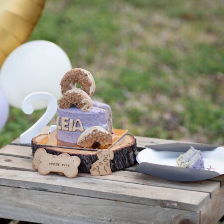 Tarta para perros con crema pastelera de arándanos y moras, personalizada con el nombre del perro y galleta en forma de número. Con un bosque de fondo.