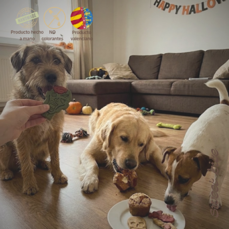 Halloween para perros