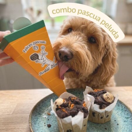 Regalo de pascua para perros. Combo Mona + Pascua Chill, con el cono zanahoria y la mona de cupcake con perro lamiendo.