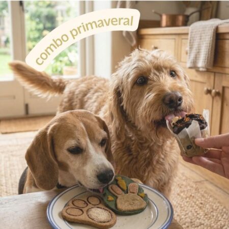 pack de pascua para perros. Combo Primavera con la mona de cupcake y la cajita de galletas Select con perros comiendo.