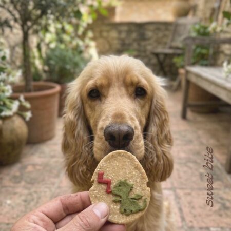 Foto de portada del Pack Escudo de Sant Jordi para perros. mostrando a un perro mordiendo las tres petgalletas artesanales: escudoo con espada, huevo de dragón y huesito.