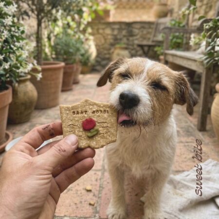 Foto de portada del Pack Libro de Sant Jordi para perros. mostrando a un perro mordiendo las tres petgalletas artesanales: libro con rosa, huevo de dragón y huesito.