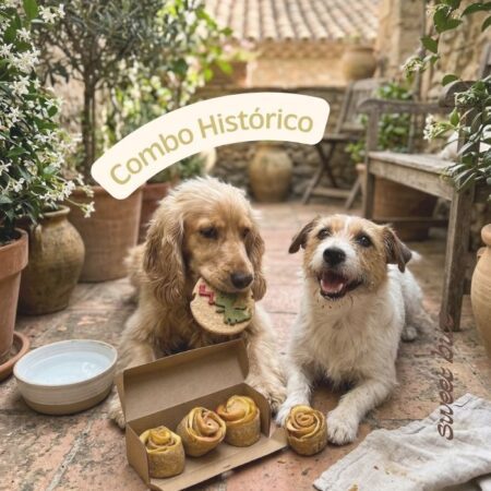 Foto de portada del Combo Histórico de Sant Jordi para perros, mostrando los tres productos juntos: Pack Libro, Pack Escudo y la mini caja de Rosas Frutales.